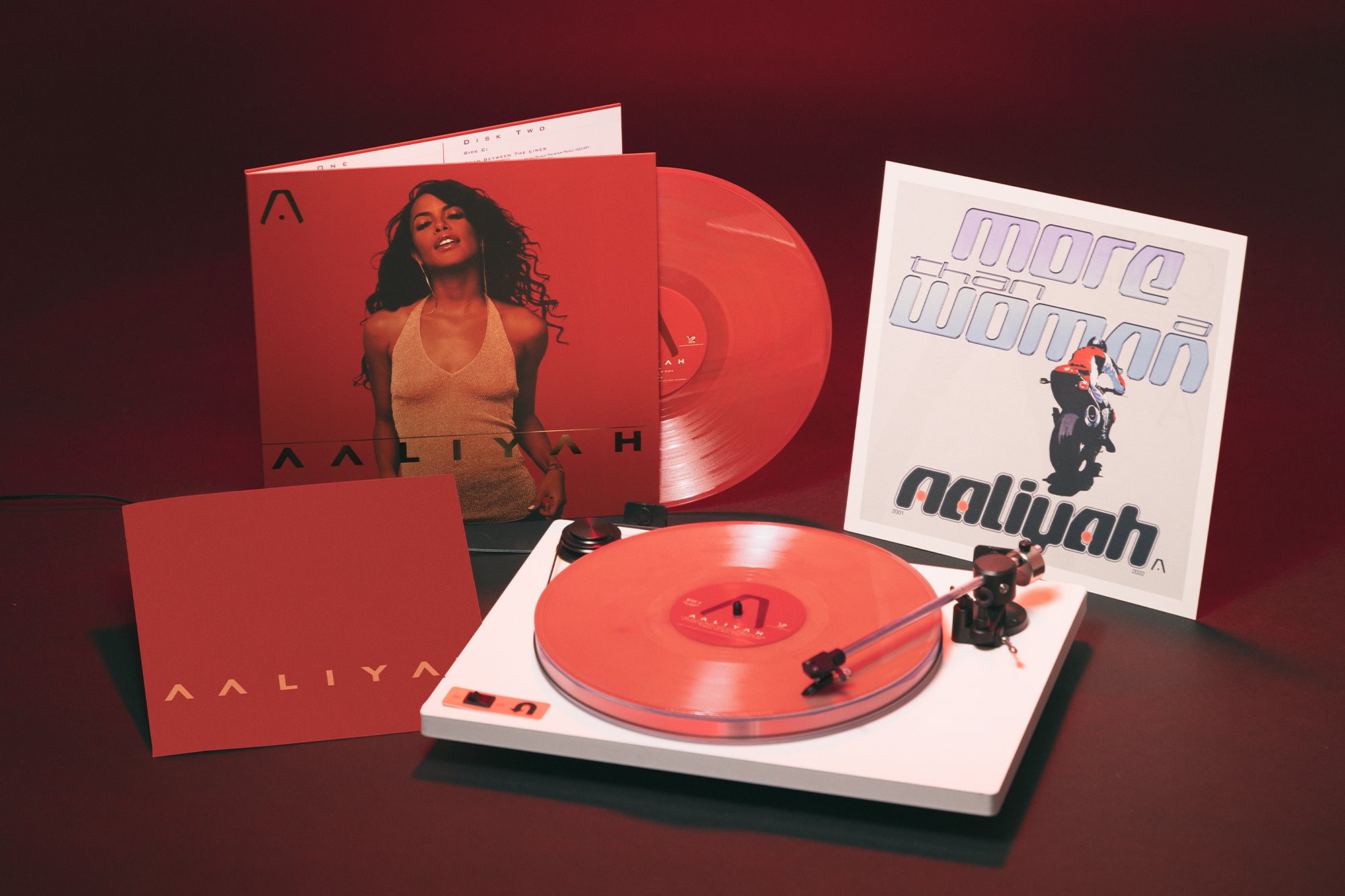 上質仕様 AALIYAH レコード 2LP A - レコード