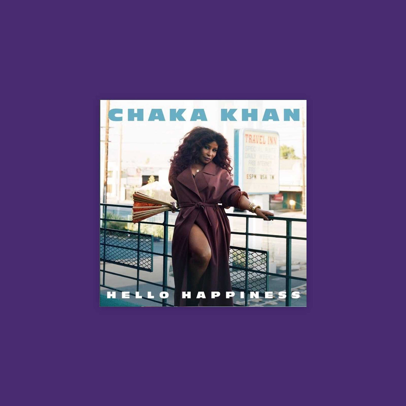 Chaka Khan 'Hello Happiness'